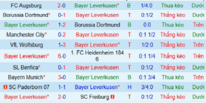 CLB-LEVERKUSEN