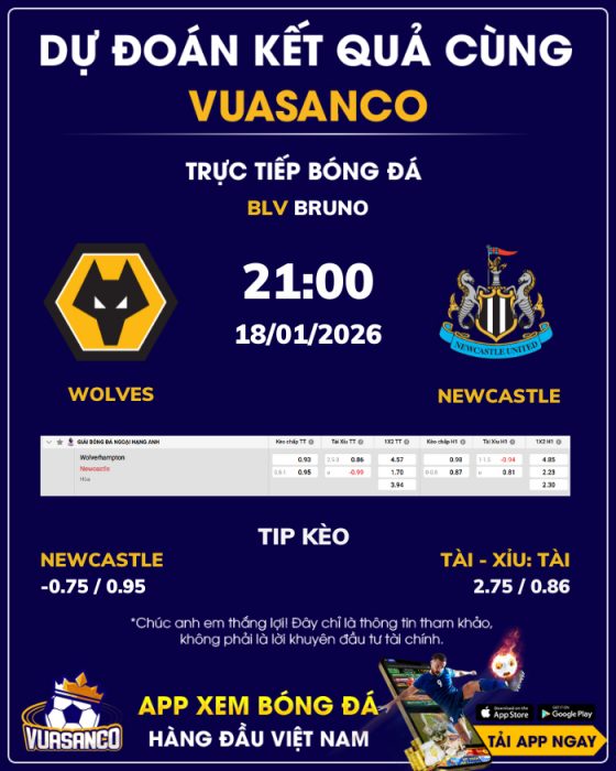 Soi kèo Wolves vs Newcastle – 21h00 – 18/01 – Ngoại hạng Anh