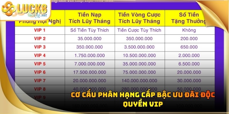 uu-dai-doc-quyen-vip-co-cau